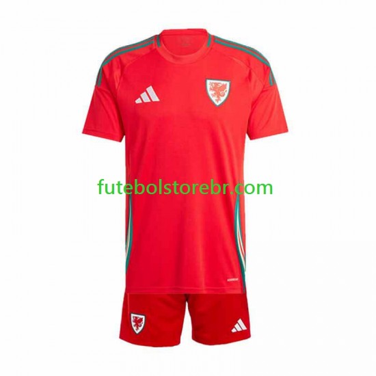 Camisa País de Gales I 2024 manga curta pro Juvenil