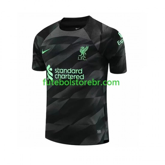 Camisa Goleiro Liverpool II 2023-2024 manga curta pro Masculina