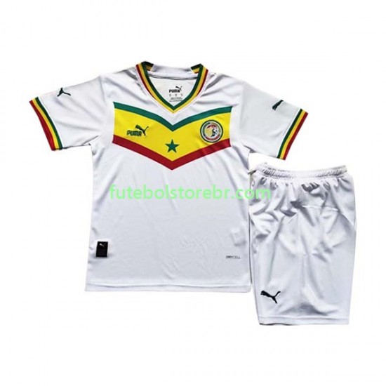 Camisa Senegal I Copa Do Mundo 2022 manga curta pro Juvenil