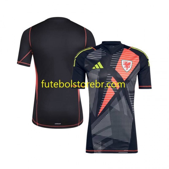 Camisa Goleiro País de Gales I 2024 manga curta pro Masculina