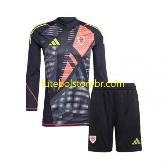 Camisa Goleiro País de Gales I 2024 manga longa pro Juvenil